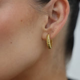 Skinny Ridge Earrings Gold