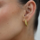 Skinny Ridge Earrings Gold
